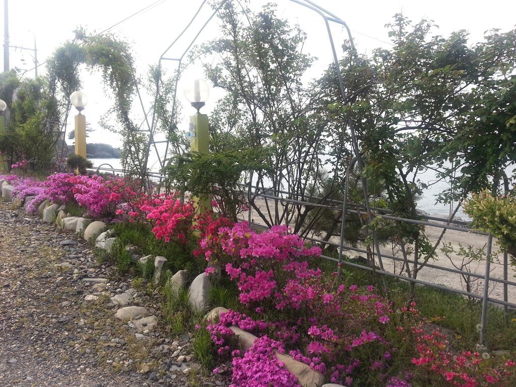 Yongdu Beach Pension Boryeong Exterior foto