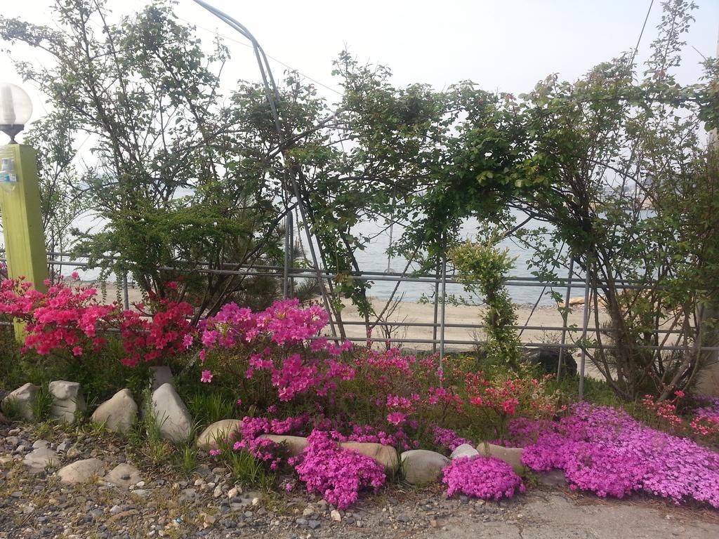 Yongdu Beach Pension Boryeong Exterior foto